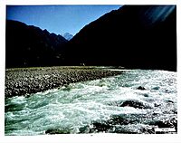 Bharatatma Ganga (Hindi)