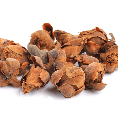 Raaja - Nagkeshar (Indian Rose Chestnut) Raaja - Nagkeshar (Indian Rose Chestnut)