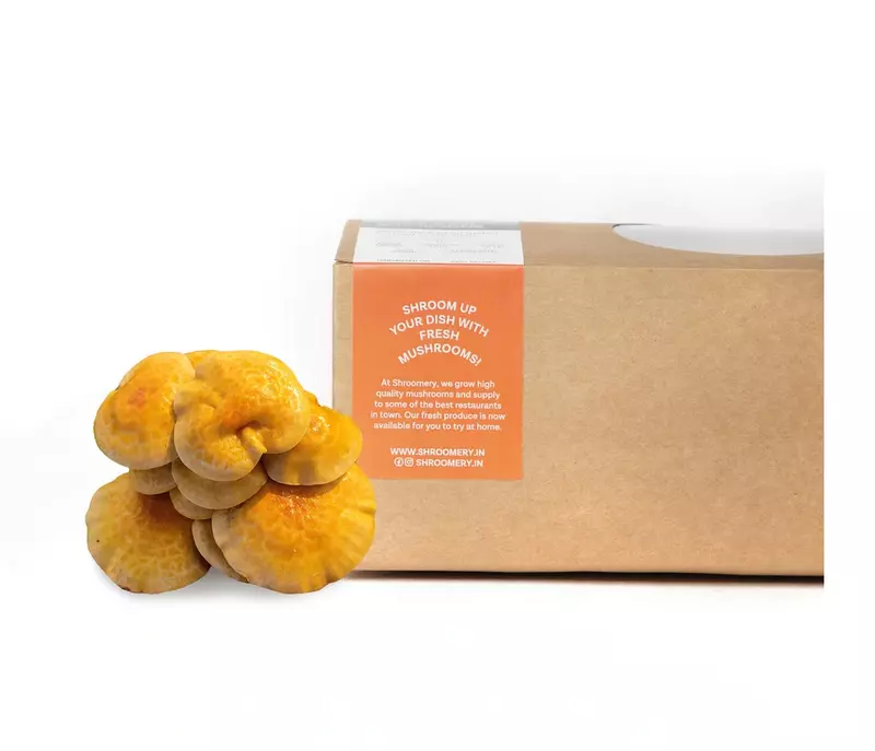 Nameko 200 gms - Shroomery