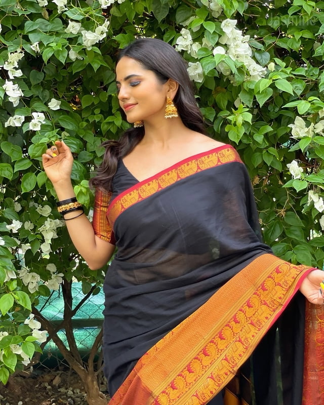 Big Border - Black ( Pure Narayanpet Handloom )