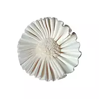 Natural Emory sola wood flower for crafts, eco weddings, and home floral decor by LeafnDeor India