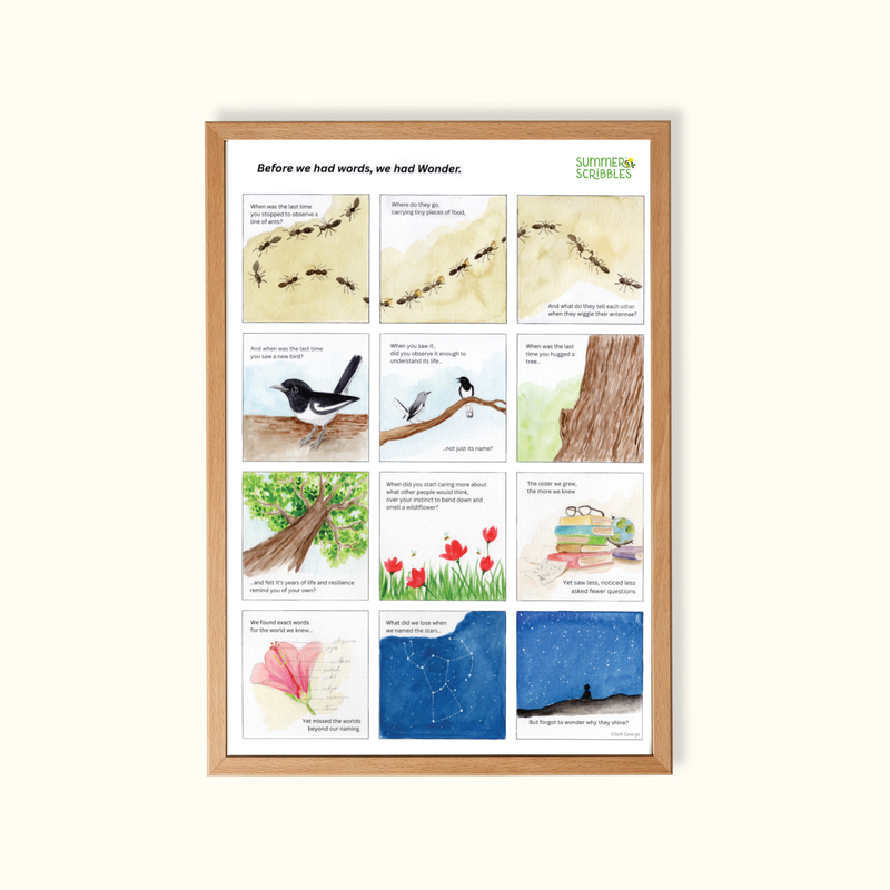 Before we had words, we had Wonder - Visual nature poem