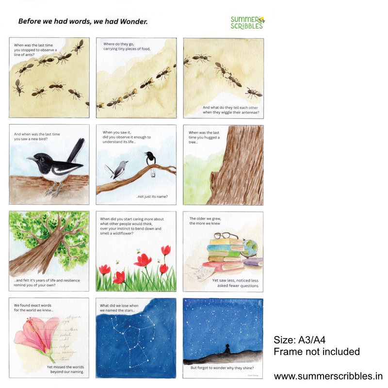 Before we had words, we had Wonder - Visual nature poem