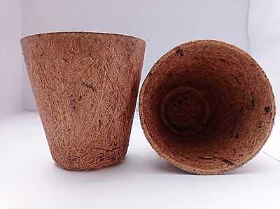 Coir Pot - 8