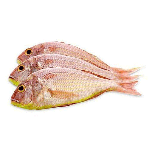 Navara(pink-perch)