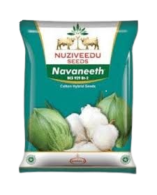 Nuziveedu Cotton Seeds Navaneet NCS 929 BG II