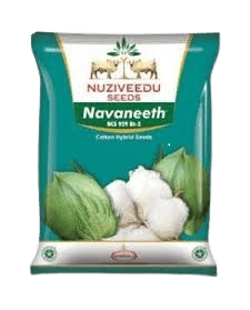 Nuziveedu Cotton Seeds Navaneet NCS 929 BG II