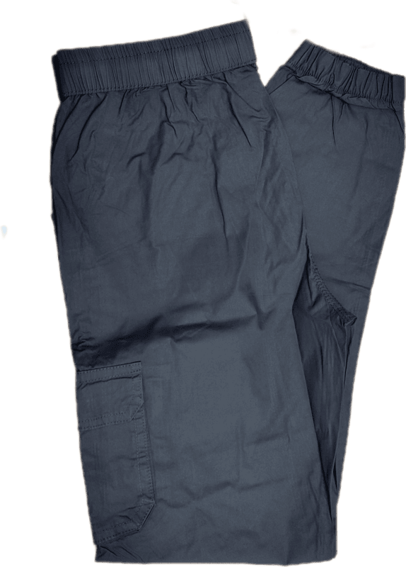 Plain Cargo Pant