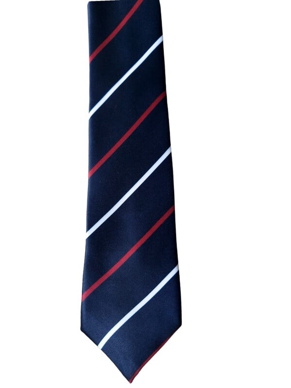 Navyblue with Burgundy Striped Necktie