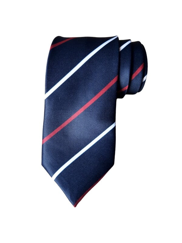 Navyblue with Burgundy Striped Necktie