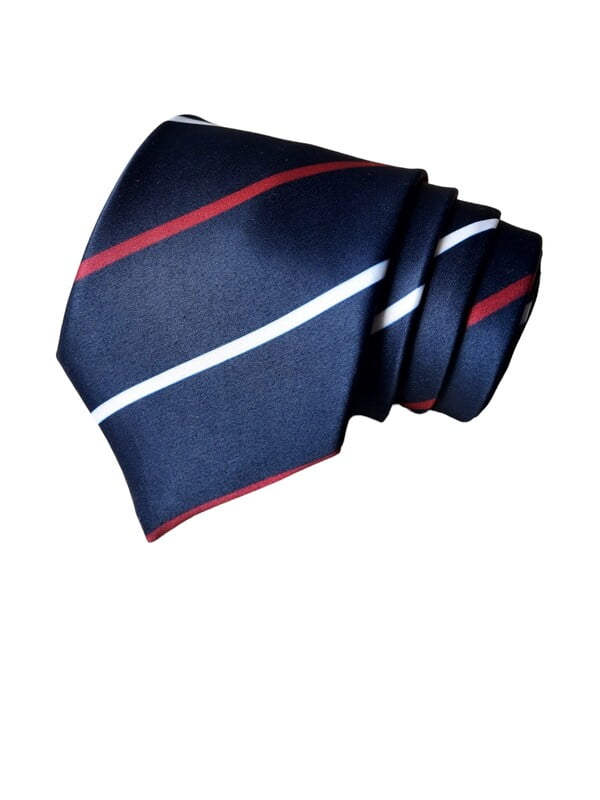 Navyblue with Burgundy Striped Necktie