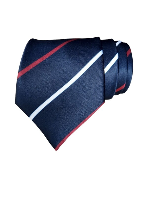 Navyblue with Burgundy Striped Necktie