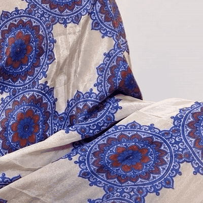 Neelima | NAVA JYOTI Organza Saree