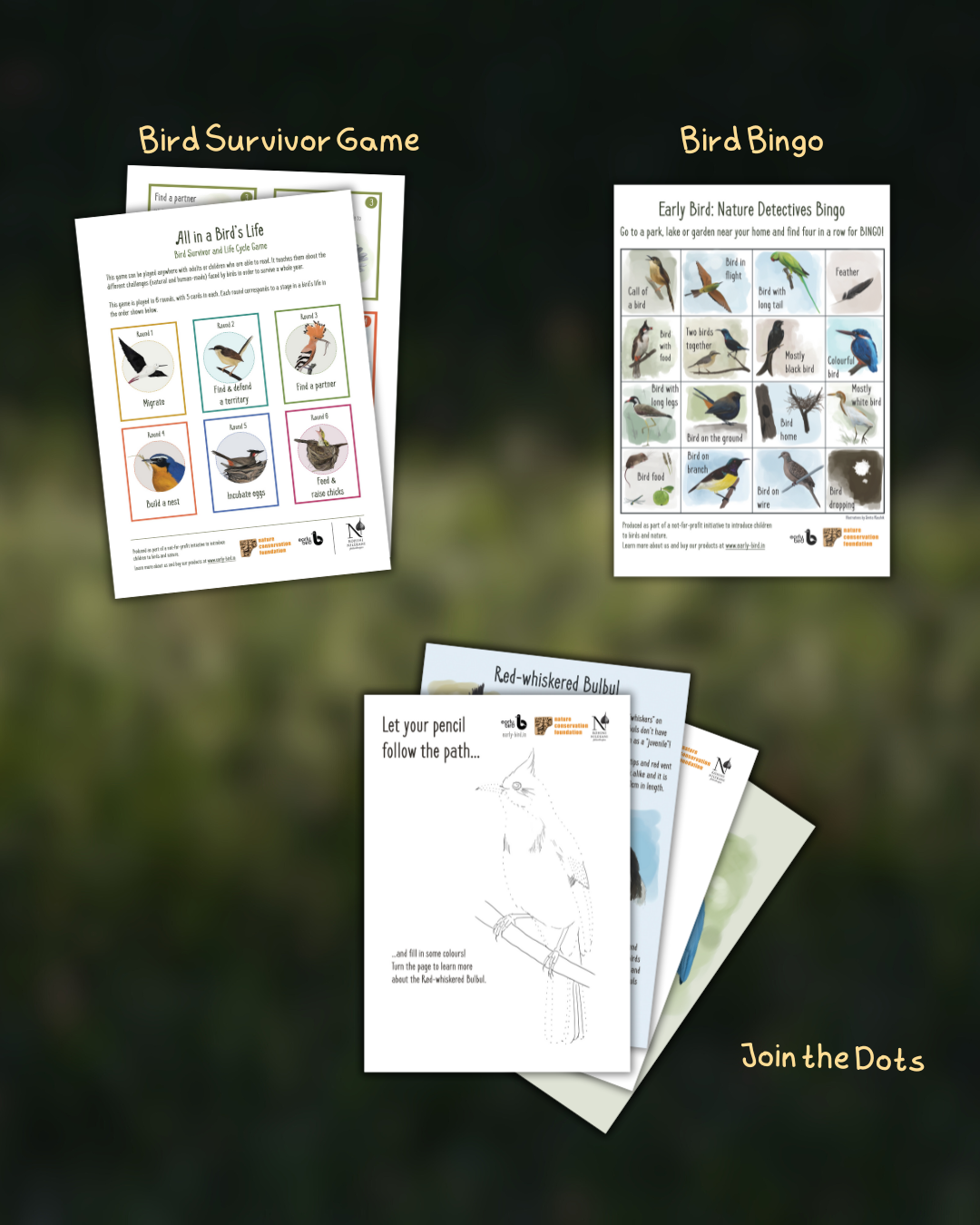 Be a Neighborhood Naturalist : Explore Nature With Activities and Experiments