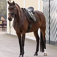 Waldhausen Nepal Fly Veil