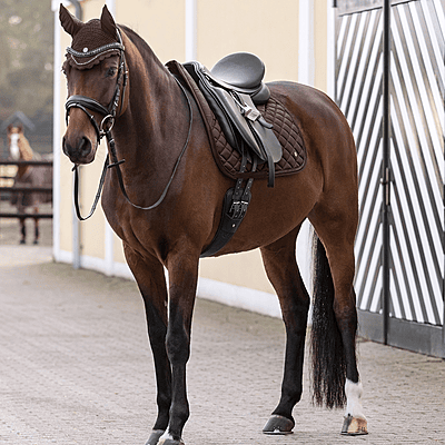 Waldhausen Nepal Fly Veil