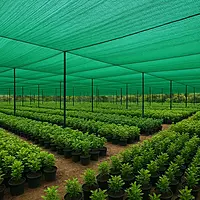 Shade Net Replacement & Repair Service