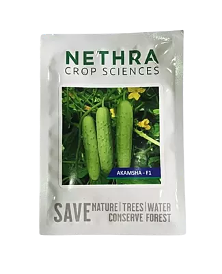 Nethra seeds Cucumber Akamsha F1-25gm