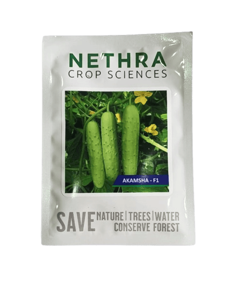 Nethra seeds Cucumber Akamsha F1-25gm