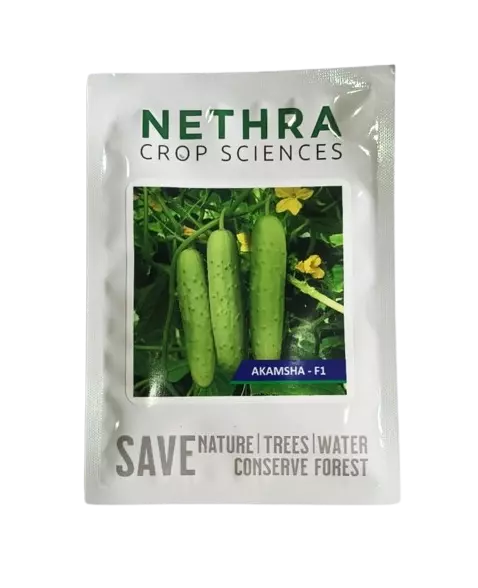 Nethra seeds Cucumber Akamsha F1-25gm