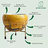 Rustic Yellow