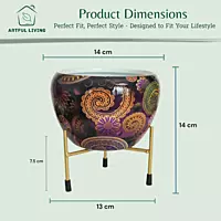 Ethnic Paisley Print