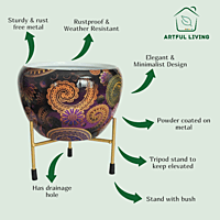 Ethnic Paisley Print