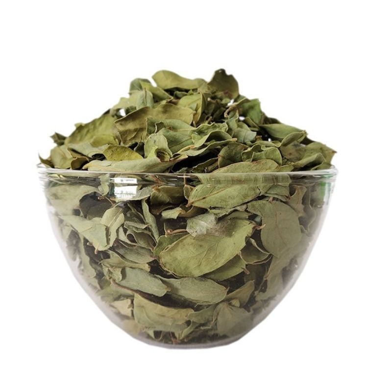 Nochi Ilai Dried Leaves (Raw) Nochi Ilai Dried Leaves (Raw)