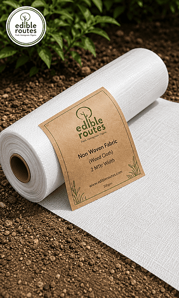 Non Woven Fabric