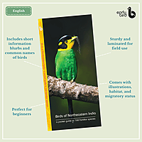 Early Bird Pocket Guides - Bulk Purchase of 50 Early Bird Pocket Guides - Bulk Purchase of 50