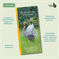 Early Bird Pocket Guides - Bulk Purchase of 50 Early Bird Pocket Guides - Bulk Purchase of 50