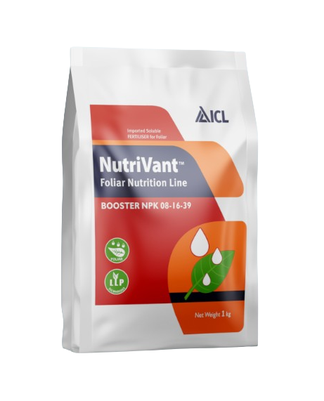 Nutrivant Booster NPK 08-16-39 by ICL