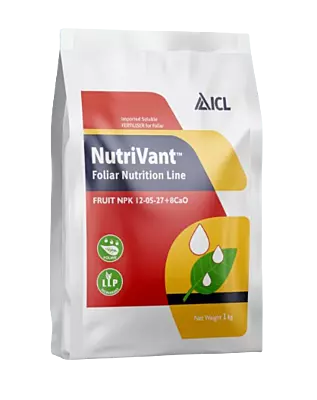 Nutrivant Fruit NPK 12-05-27 + 8Cao by ICL