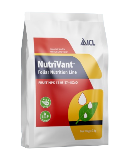 Nutrivant Fruit NPK 12-05-27 + 8Cao by ICL