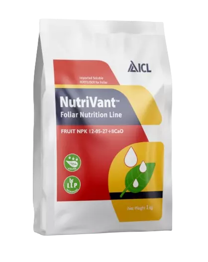 Nutrivant Fruit NPK 12-05-27 + 8Cao by ICL