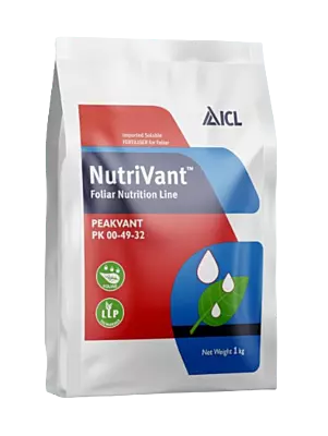 Nutrivant Peakvant NPK 00-49-32 by ICL