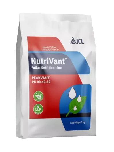 Nutrivant Peakvant NPK 00-49-32 by ICL