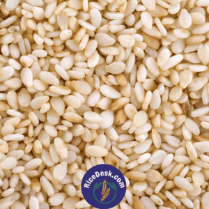 Nuvvulu | Til Nuvvulu | Til