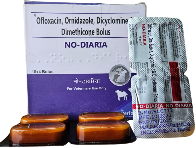 OFLOXACIN, ORNIDAZOLE, DICYCLOMINE & DIMETHICONE BOLUS 4s