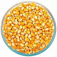 MAKKASOLAM 250G