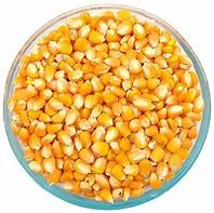 MAKKASOLAM 250G