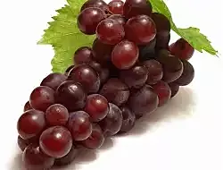 GAREPS (THIRAACHI)