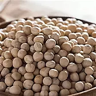 WHITEPATTANI -DRY