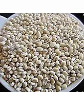 PARLYRICE 250G