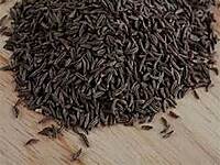 Black Jeera ( Rs. 50 per 50g)