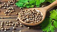 Coriander Seeds (Rs. 65 per 250g)