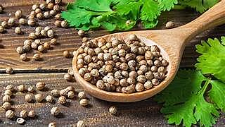 Coriander Seeds (Rs. 65 per 250g)