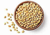 Coriander Seeds (Rs. 65 per 250g)