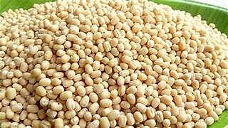 Minapa Pappu(190 per kg)