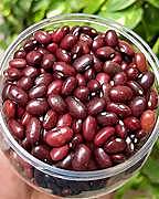 Rajma (110 per 500gm)